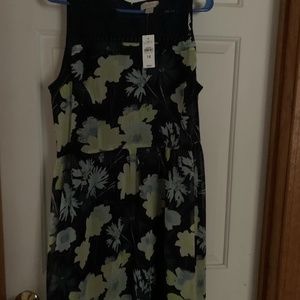 Ann Taylor Loft Summer Dress